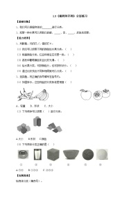 【同步分层练习】人教鄂教版科学一年级上册--1.3《相同和不同》分层练习（含答案）