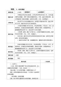 小学科学青岛版 (六三制2017)三年级上册3 动物的翅膀优秀教案设计