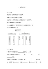 大象版 (2017)三年级上册3 动物的分类精品课时训练