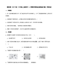 教科版 (2017)六年级上册4.观察洋葱表皮细胞精品同步达标检测题