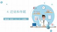 科学三年级上册4 冬眠与迁徙精品课件ppt