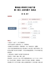 小学科学青岛版 (六三制2017)三年级下册1 影子精品复习练习题