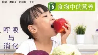 教科版 (2017)四年级上册5.食物中的营养优秀课件ppt