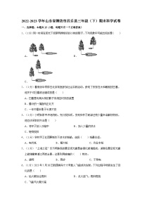 2022-2023学年山东省潍坊市昌乐县三年级下学期期末科学试卷（含解析）