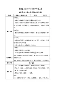 教科版 (2017)六年级上册6.观察水中微小的生物优质教案