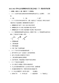 山东省潍坊市昌乐县2022-2023学年五年级下学期期末考试科学试题