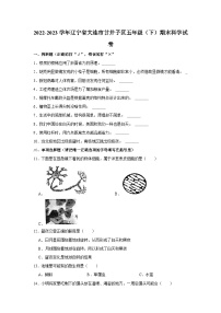 2022-2023学年辽宁省大连市甘井子区五年级下学期期末科学试卷（含解析）