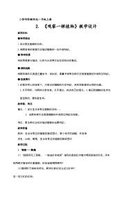 科学一年级上册2.观察一颗植物教案