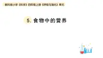 小学科学教科版 (2017)四年级上册5.食物中的营养教学课件ppt