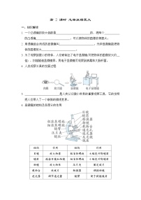 科学六年级上册2.怎样放得更大学案设计