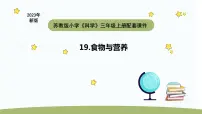 科学三年级上册第五单元 人的呼吸和消化19 食物与营养教学课件ppt