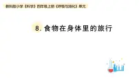 教科版 (2017)四年级上册8.食物在身体里的旅行教学ppt课件
