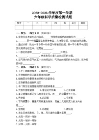 新青岛版科六三制六年级上册期末测试题+答案（五）