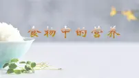 教科版 (2017)四年级上册5.食物中的营养精品教学ppt课件