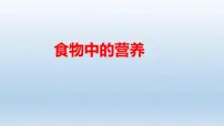 教科版 (2017)四年级上册5.食物中的营养优秀教学ppt课件