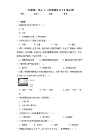 小学科学教科版 (2017)三年级上册1.水到哪里去了习题