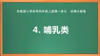 科学苏教版 (2017)4 哺乳类一等奖ppt课件