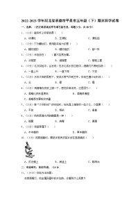 2022-2023学年河北省承德市平泉市五年级下学期期末科学试卷（含解析）