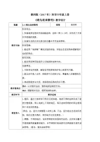 小学科学教科版 (2017)六年级上册4.谁先迎来黎明教学设计