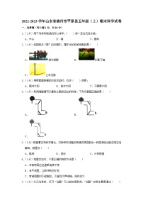 山东省德州市平原县2022-2023学年五年级上学期期末科学试题