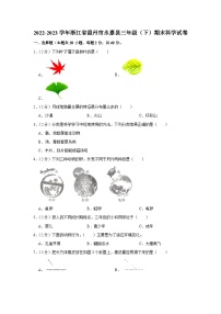 浙江省温州市永嘉县2022-2023学年三年级下学期期末检测科学试题