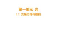 教科版 (2017)五年级上册2.光是怎样传播的习题ppt课件