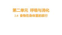小学科学教科版 (2017)四年级上册8.食物在身体里的旅行习题ppt课件