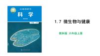 科学六年级上册7.微生物与健康教学课件ppt