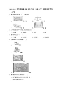 福建省龙岩市长汀县2022-2023学年一年级下学期期末科学试卷