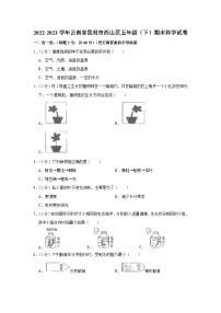 云南省昆明市西山区2022-2023学年五年级下学期期末科学试卷