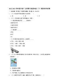 2022-2023学年四川省广元市青川县四年级下学期期末科学试卷（含解析）