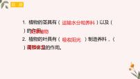 科学四年级下册5.凤仙花开花了一等奖教学ppt课件
