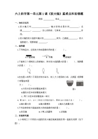 小学科学教科版 (2017)六年级上册1.放大镜课时作业