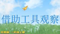 苏教版 (2017)一年级上册6.借助工具观察授课课件ppt