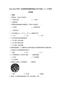 2023-2024学年广东省深圳市南湾实验小学六年级（上）月考科学试卷