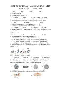 江苏省宿迁市宿豫区2023--2024学年六年级上学期期中检测科学试卷