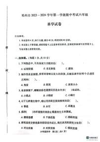 河南省南阳市邓州市2023-2024学年六年级上学期11月期中科学试题