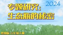 小学科学粤教粤科版 (2017)六年级下册第3单元 动物与环境18 专题研究：生态瓶的秘密教学课件ppt