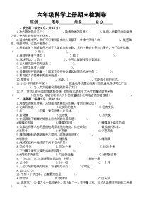 小学科学教科版六年级上册期末检测卷（附参考答案）（2023秋）