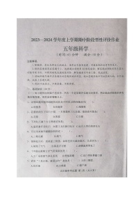 山东省济南市钢城区2023-2024学年五年级上学期期中考试科学试题