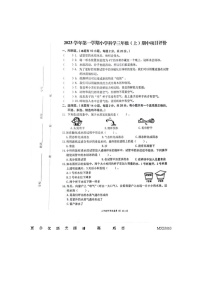 浙江省温州市瑞安部分校2023-2024学年三年级上学期期中检测科学试题