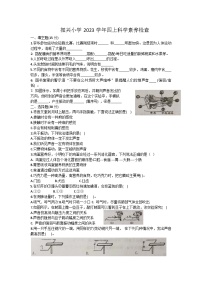 浙江省金华市兰溪市兰溪市振兴小学2023-2024学年四年级上学期11月期中科学试题