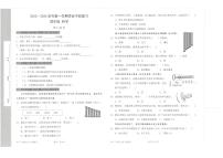 广东省深圳市宝安区立新湖外国语学校2023-2024学年四年级上学期11月期中科学试题