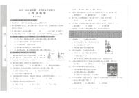 广东省深圳市宝安区立新湖外国语学校2023-2024学年三年级上学期11月期中科学试题