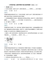 2023-2024学年浙江省嘉兴市海盐县实验片联考教科版四年级上册期中考试科学试卷（解析版）