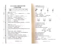 山东省滨州市沾化区古城、大高联考2023-2024学年三年级上学期11月期中科学试题