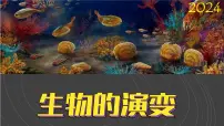 科学4 生物的演变图文课件ppt