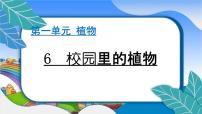 小学科学教科版 (2017)一年级上册6.校园里的植物作业课件ppt