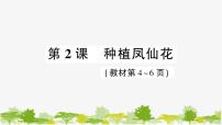 小学科学教科版 (2017)四年级下册2.种植凤仙花习题ppt课件