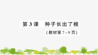 小学科学教科版 (2017)四年级下册3.种子长出了根习题ppt课件